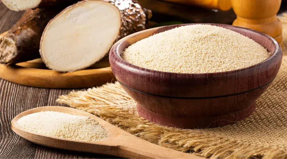 software para fábrica de farinha de mandioca