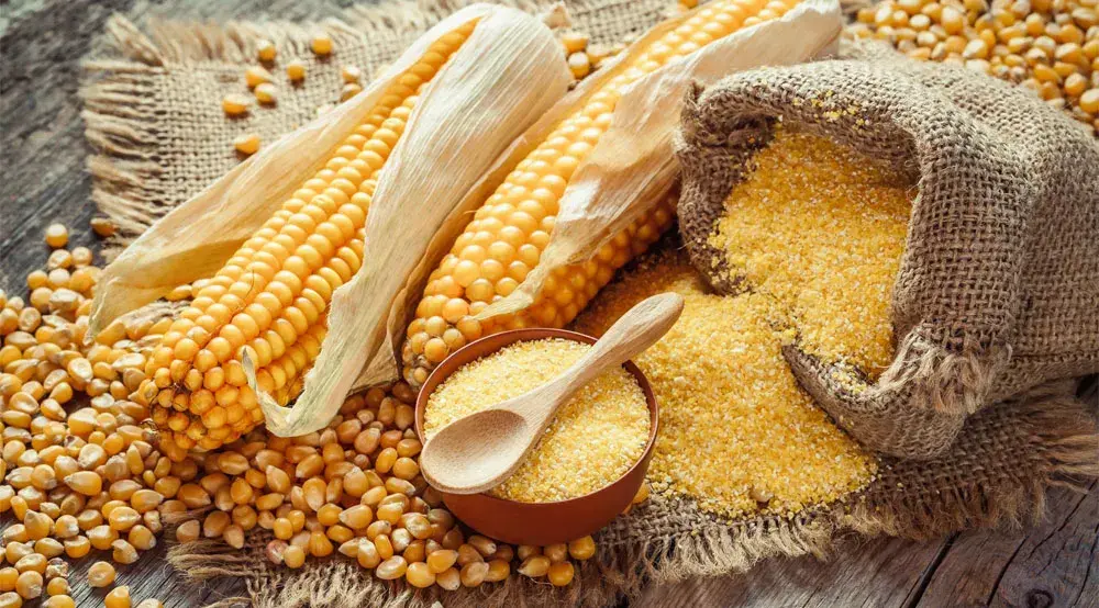 software para fábrica de farinha de milho