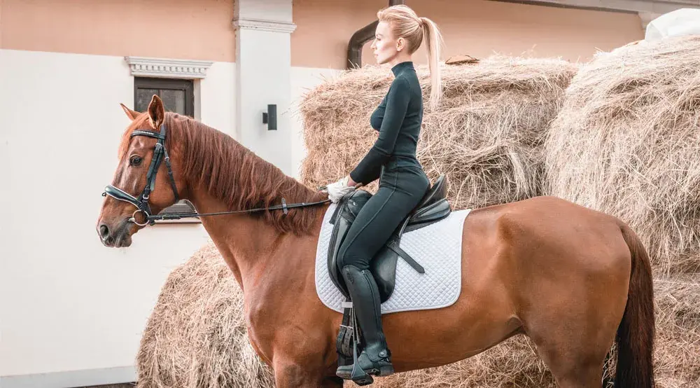 software para haras
