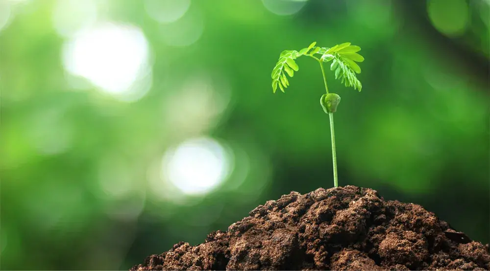 software para gestão pública meio ambiente